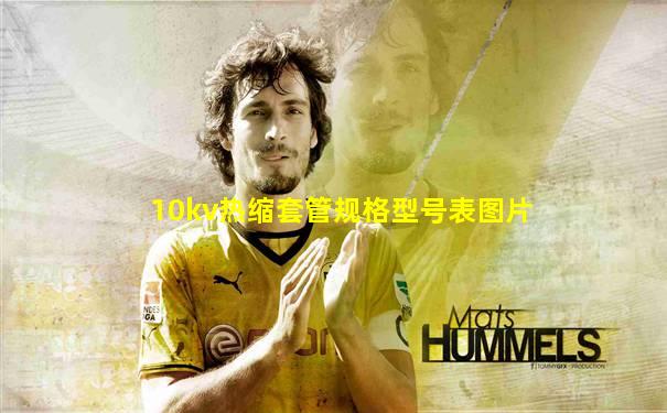 10kv热缩套管规格型号表图片