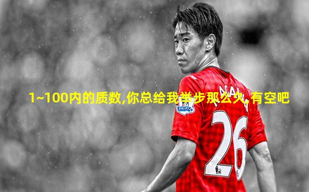 1~100内的质数,你总给我举步那么久,有空吧