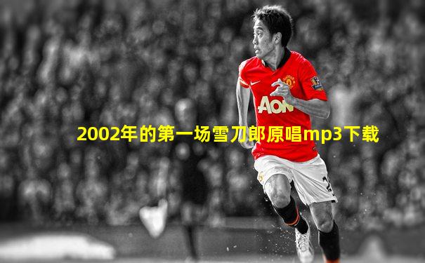 2002年的第一场雪刀郎原唱mp3下载