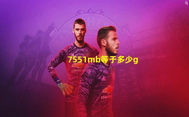 7551mb等于多少g