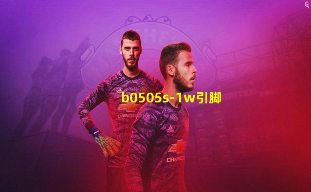 b0505s-1w引脚