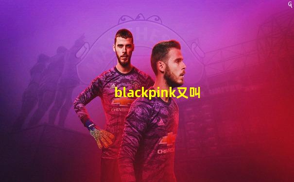 blackpink又叫