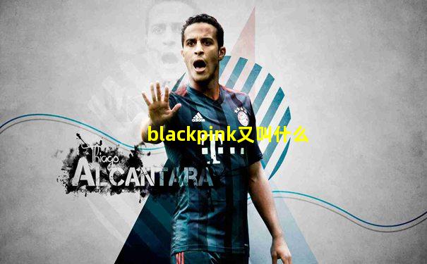blackpink又叫什么