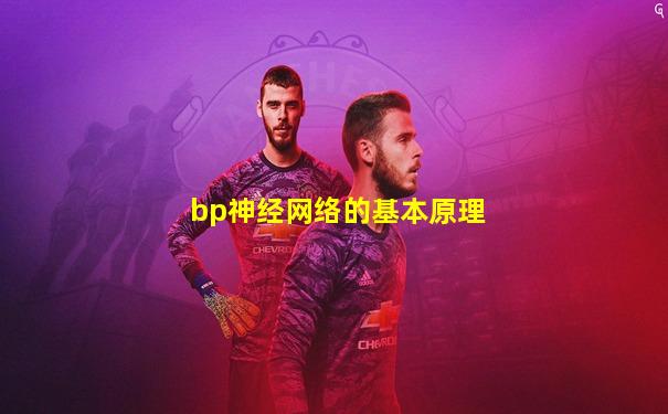 bp神经网络的基本原理