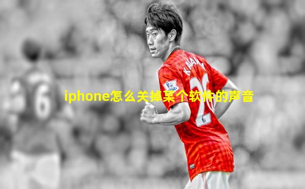 iphone怎么关掉某个软件的声音