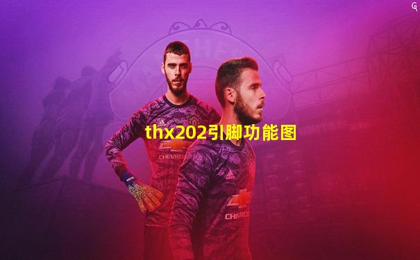 thx202引脚功能图