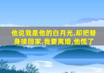 他说我是他的白月光,却把替身接回家,我要离婚,他慌了