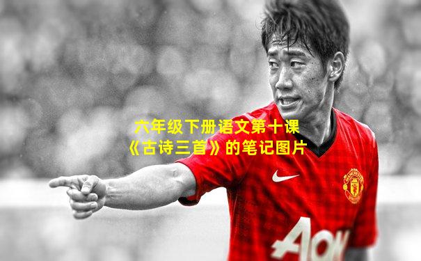 六年级下册语文第十课《古诗三首》的笔记图片