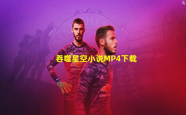 吞噬星空小说MP4下载