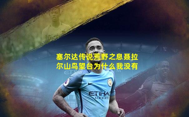 塞尔达传说荒野之息聂拉尔山鸟望台为什么我没有