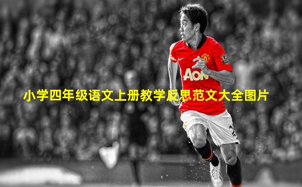 小学四年级语文上册教学反思范文大全图片