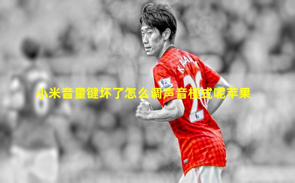 小米音量键坏了怎么调声音模式呢苹果