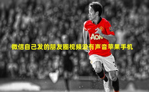 微信自己发的朋友圈视频没有声音苹果手机