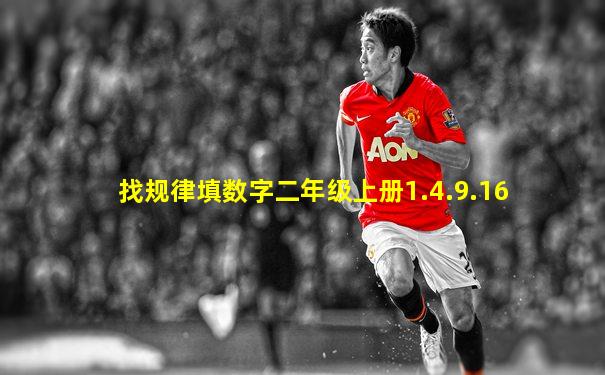 找规律填数字二年级上册1.4.9.16