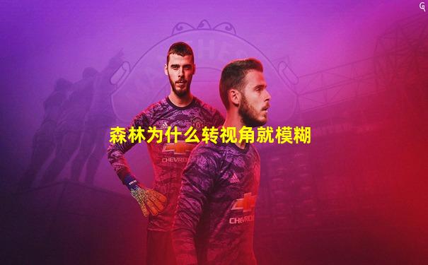 森林为什么转视角就模糊