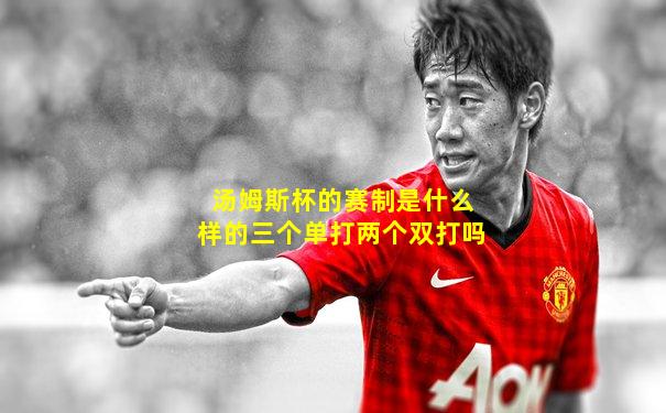 汤姆斯杯的赛制是什么样的三个单打两个双打吗