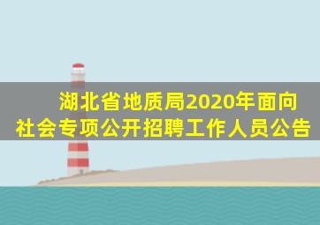 湖北省地质局2020年面向社会专项公开招聘工作人员公告