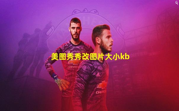 美图秀秀改图片大小kb
