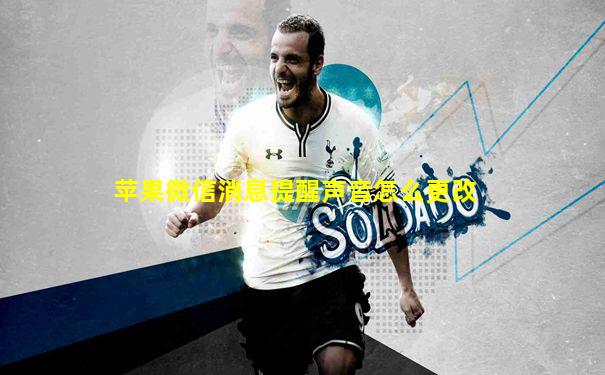 苹果微信消息提醒声音怎么更改