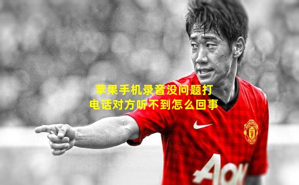 苹果手机录音没问题打电话对方听不到怎么回事