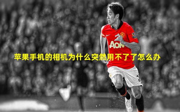 苹果手机的相机为什么突然用不了了怎么办