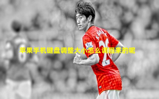苹果手机键盘调整大小怎么调回来的呢