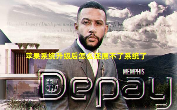 苹果系统升级后怎么还原不了系统了