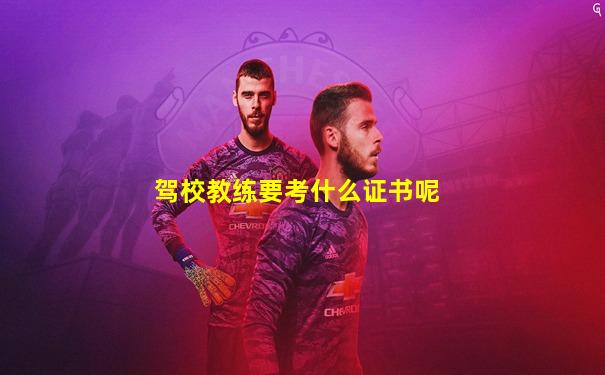 驾校教练要考什么证书呢