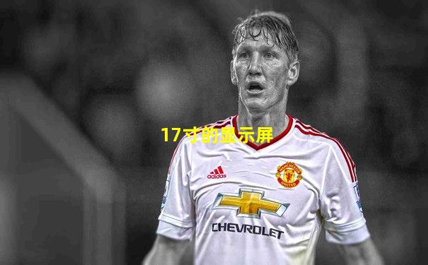 17寸的显示屏