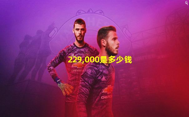 229,000是多少钱