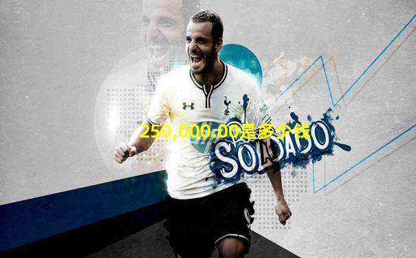 250,000.00是多少钱