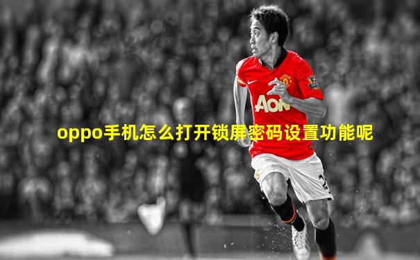 oppo手机怎么打开锁屏密码设置功能呢