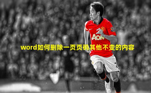 word如何删除一页页码其他不变的内容