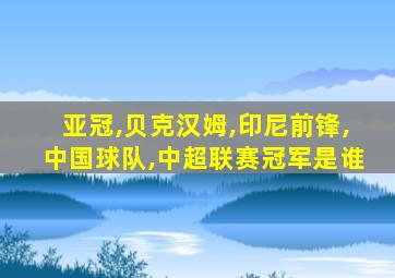 亚冠,贝克汉姆,印尼前锋,中国球队,中超联赛冠军是谁