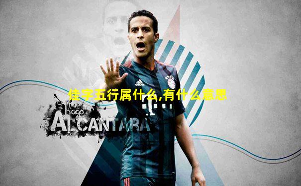 佳字五行属什么,有什么意思