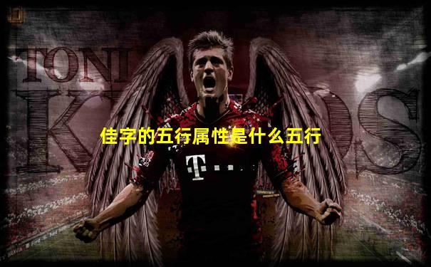 佳字的五行属性是什么五行