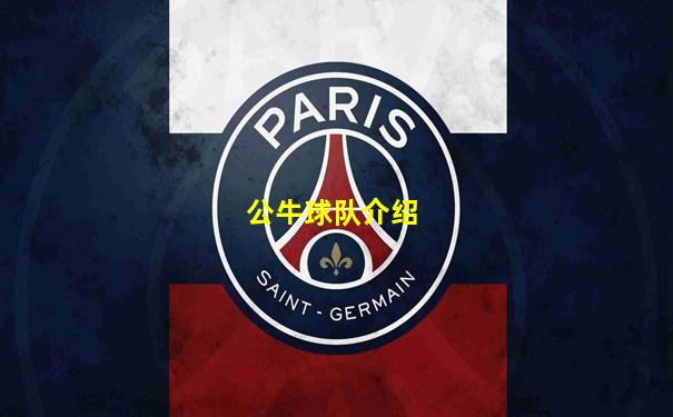 公牛球队介绍