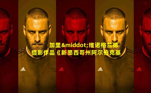 加里·维诺格兰德摄影作品《新墨西哥州阿尔伯克基》