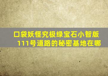 口袋妖怪究极绿宝石小智版111号道路的秘密基地在哪