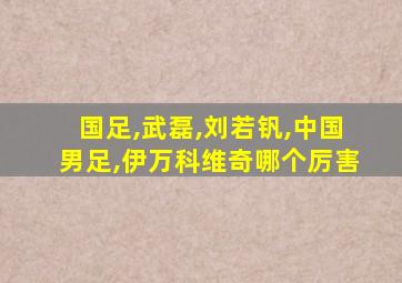 国足,武磊,刘若钒,中国男足,伊万科维奇哪个厉害