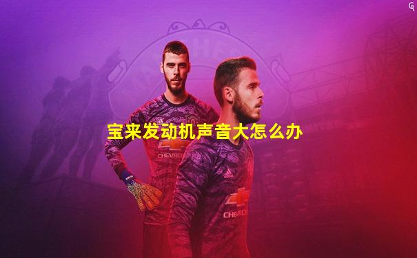 宝来发动机声音大怎么办
