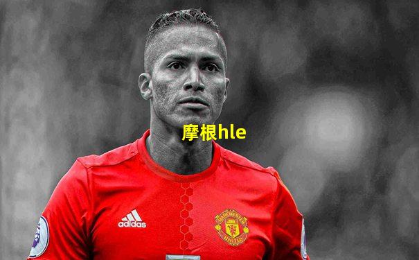 摩根hle