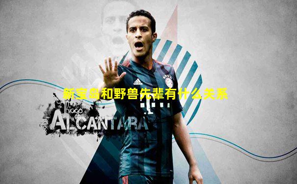新宝岛和野兽先辈有什么关系