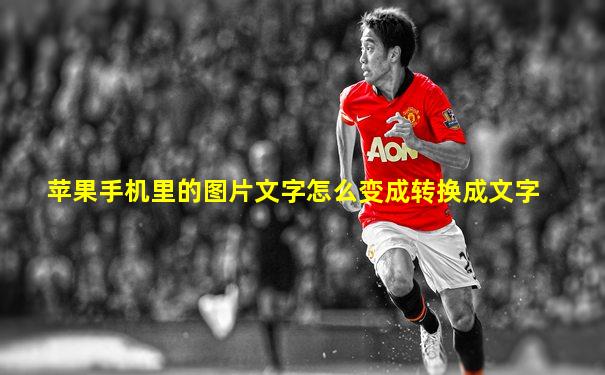 苹果手机里的图片文字怎么变成转换成文字