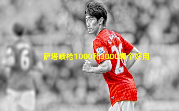 萨塔喷枪1000和3000哪个好用