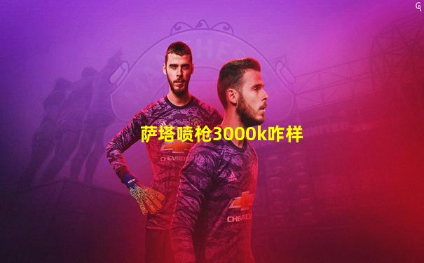 萨塔喷枪3000k咋样