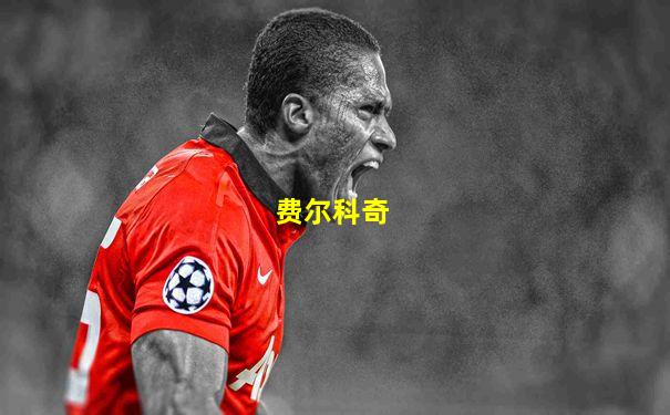 费尔科奇
