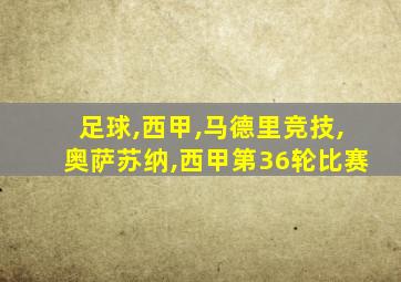 足球,西甲,马德里竞技,奥萨苏纳,西甲第36轮比赛