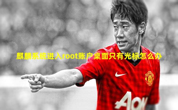 麒麟系统进入root账户桌面只有光标怎么办